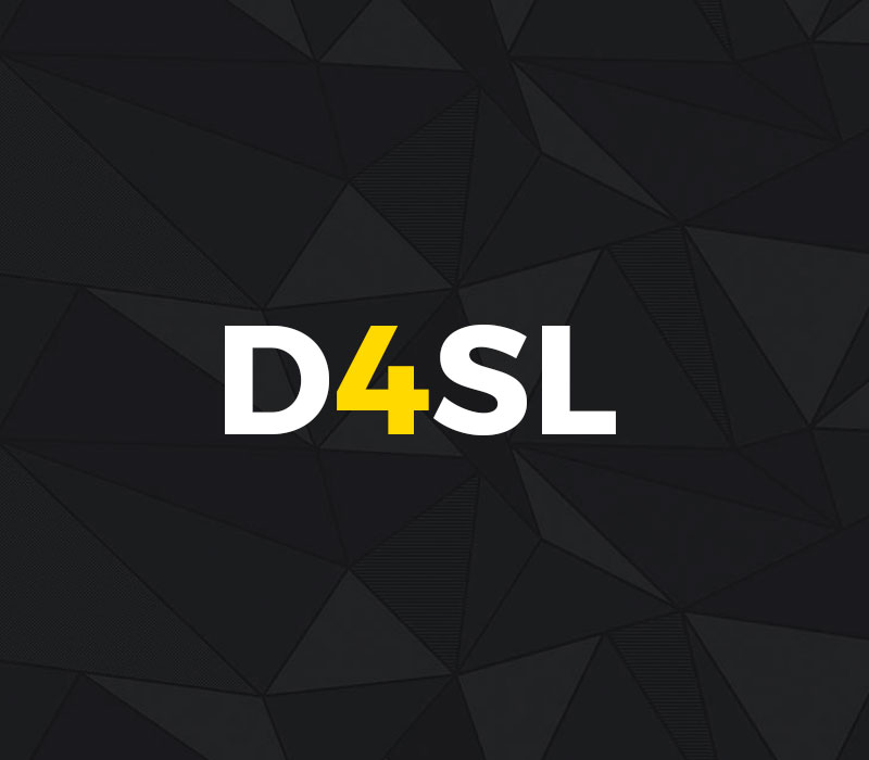 d4sl logo