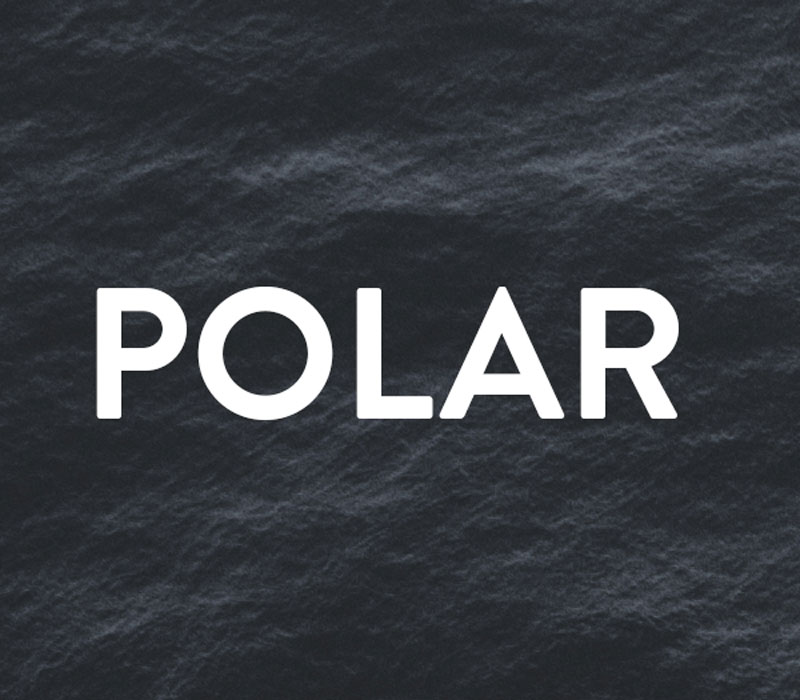 polar logo