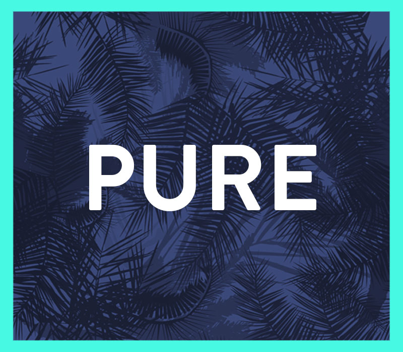 pure logo